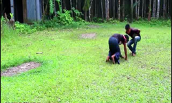 Best Funny Videos 2019 Village Boys Comedy Videos Episode 36 BD Chaplin